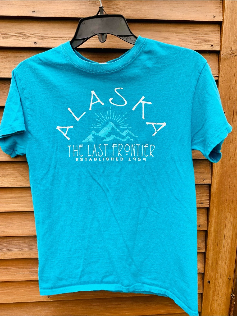 Gildan Turquoise Alaska 'The Last Frontier' Graphic Tee